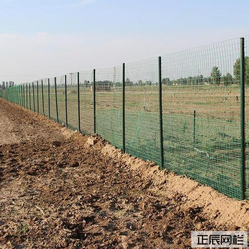 30米养鸡护栏网60元一卷