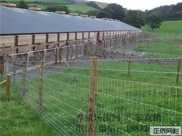 牧场围栏网