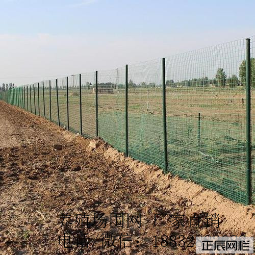 牧场围栏网
