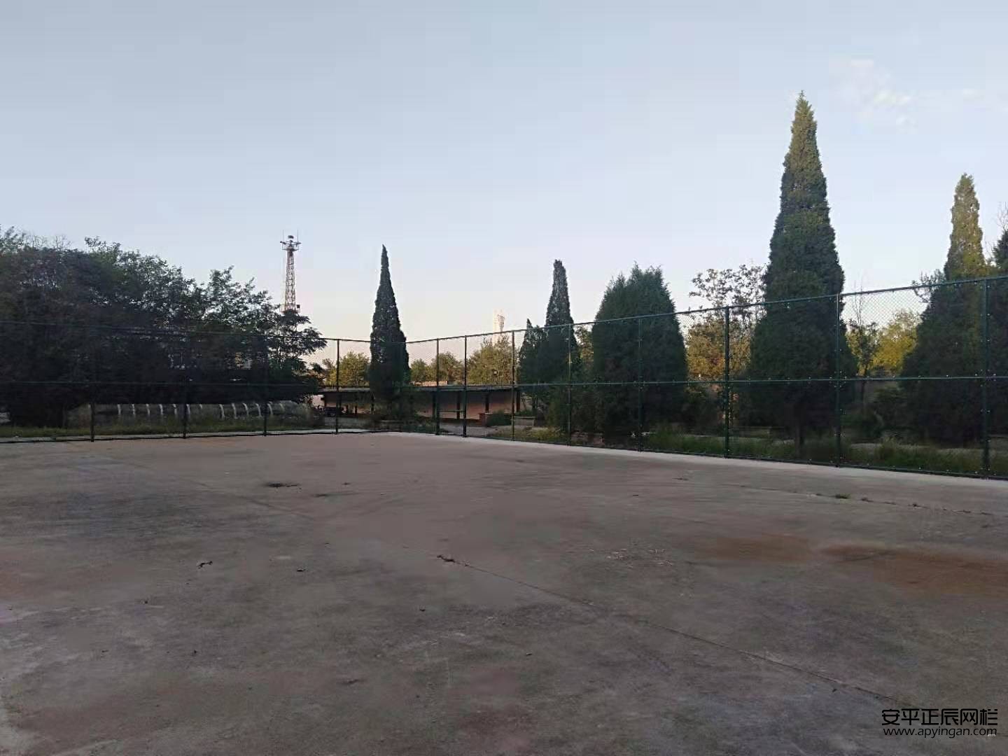 球场围网厂家