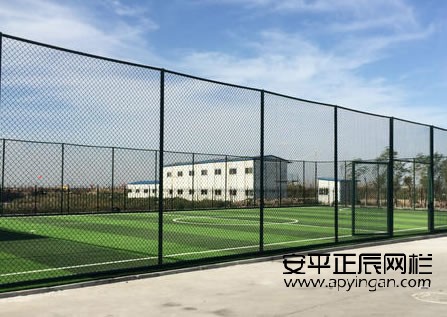 球场专用围栏网厂家
