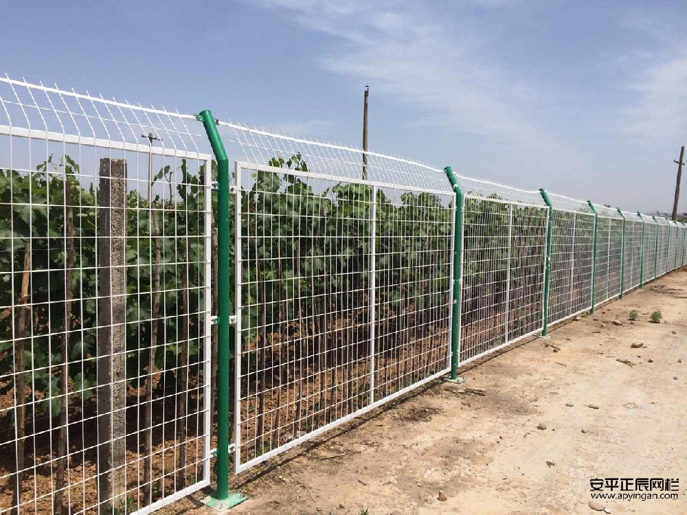 农田护栏网多少钱一米