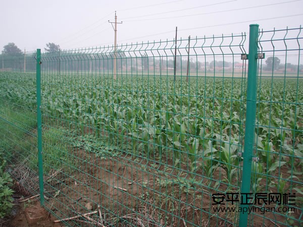 农田护栏网多少钱一米