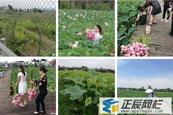 铁丝网围栏