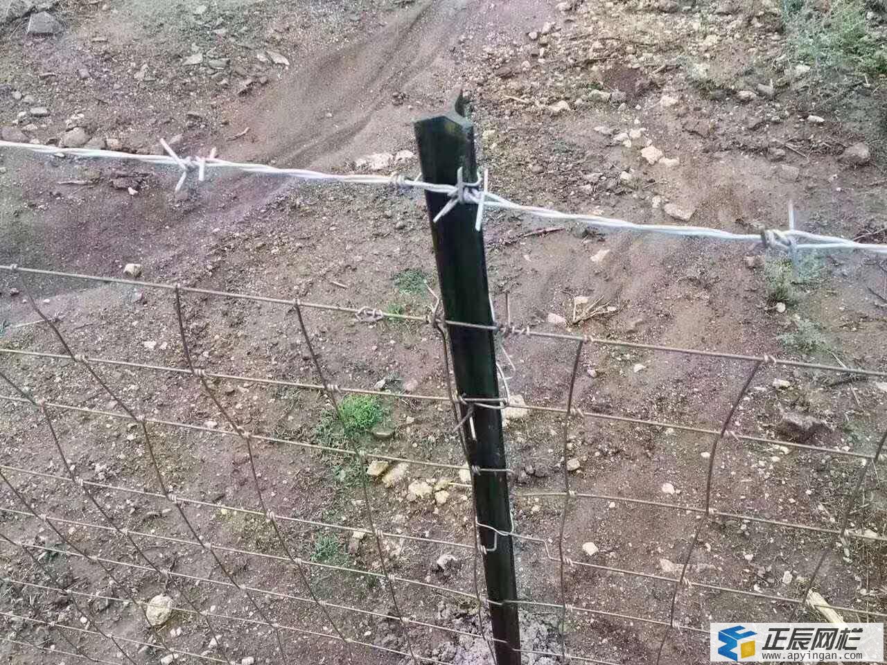 护栏网与立柱