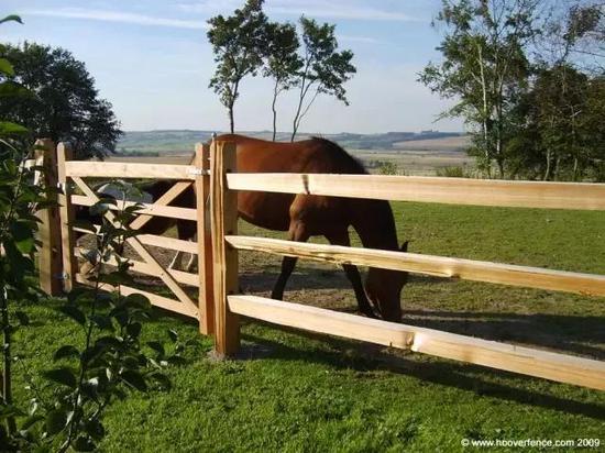 马场栅栏