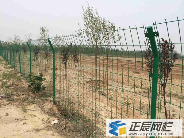 农业围栏网图片