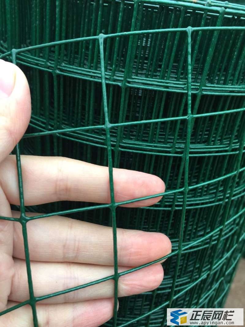 山地养土鸡围栏