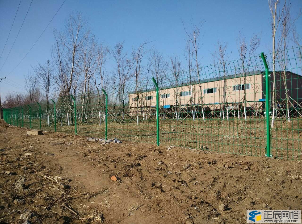 服务区护栏网厂家