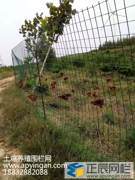 农用围栏网使用寿命