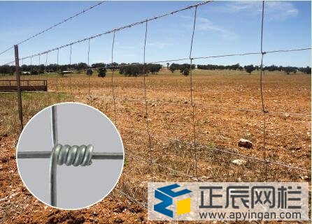 铁丝网围栏防护栏图34