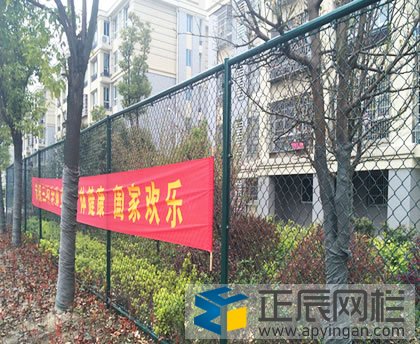 一米的护栏网多少钱？