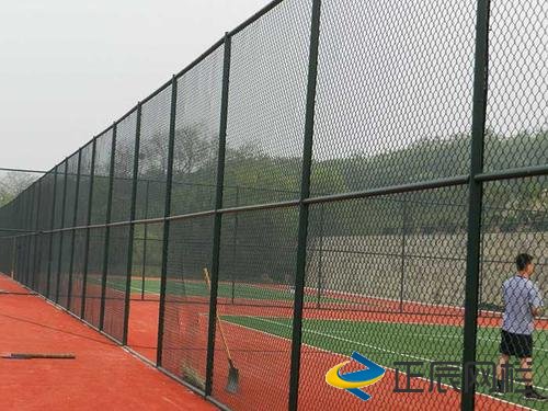 专业的球场围栏网厂家