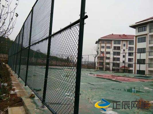 专业的球场围栏网厂家