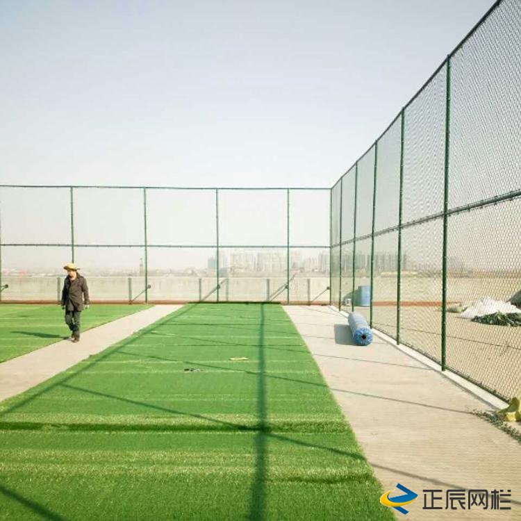 专业的球场围栏网厂家