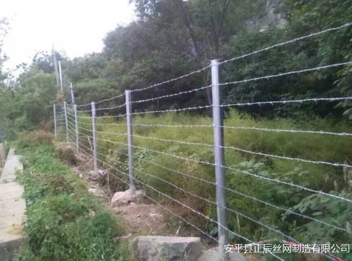边防护栏网